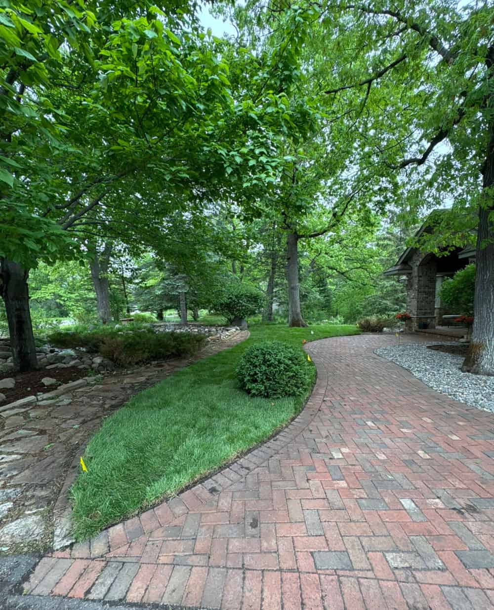 Sod Installation image
