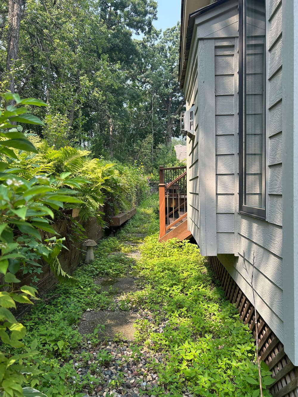 Gallery photos for Overgrown Landscape Cleaned Up and Rebuilt in Vadnais Heights: Image #2