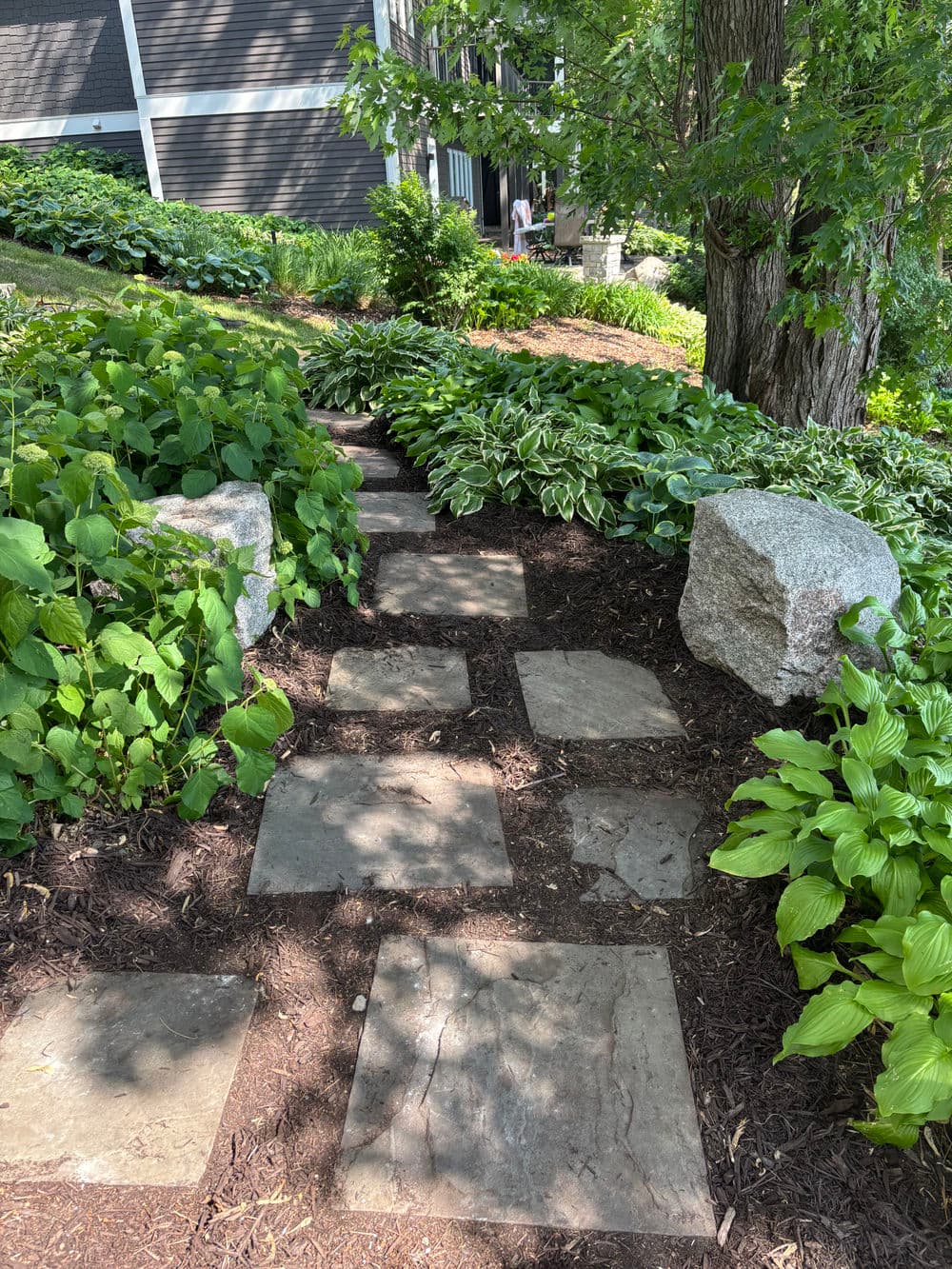 Gallery photos for Lakeshore Hillside Rescue and Full Landscape Renovation in Shoreview: Image #2
